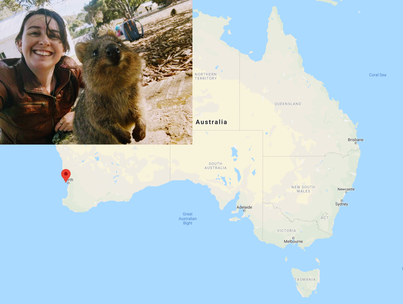 Quokkas are smiling, friendly creatures that live off the coast of Perth, Australia